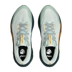 Scarpe Asics Novablast 5 TR nature Uomo