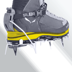 Scarponi Salewa Crow Gtx cactus Uomo