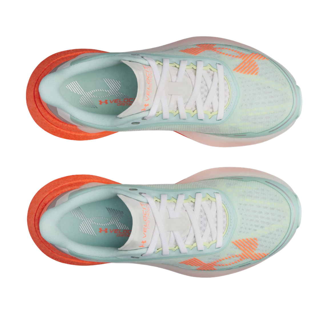 Under Armour UA Velociti Distance – Scarpa Running Donna