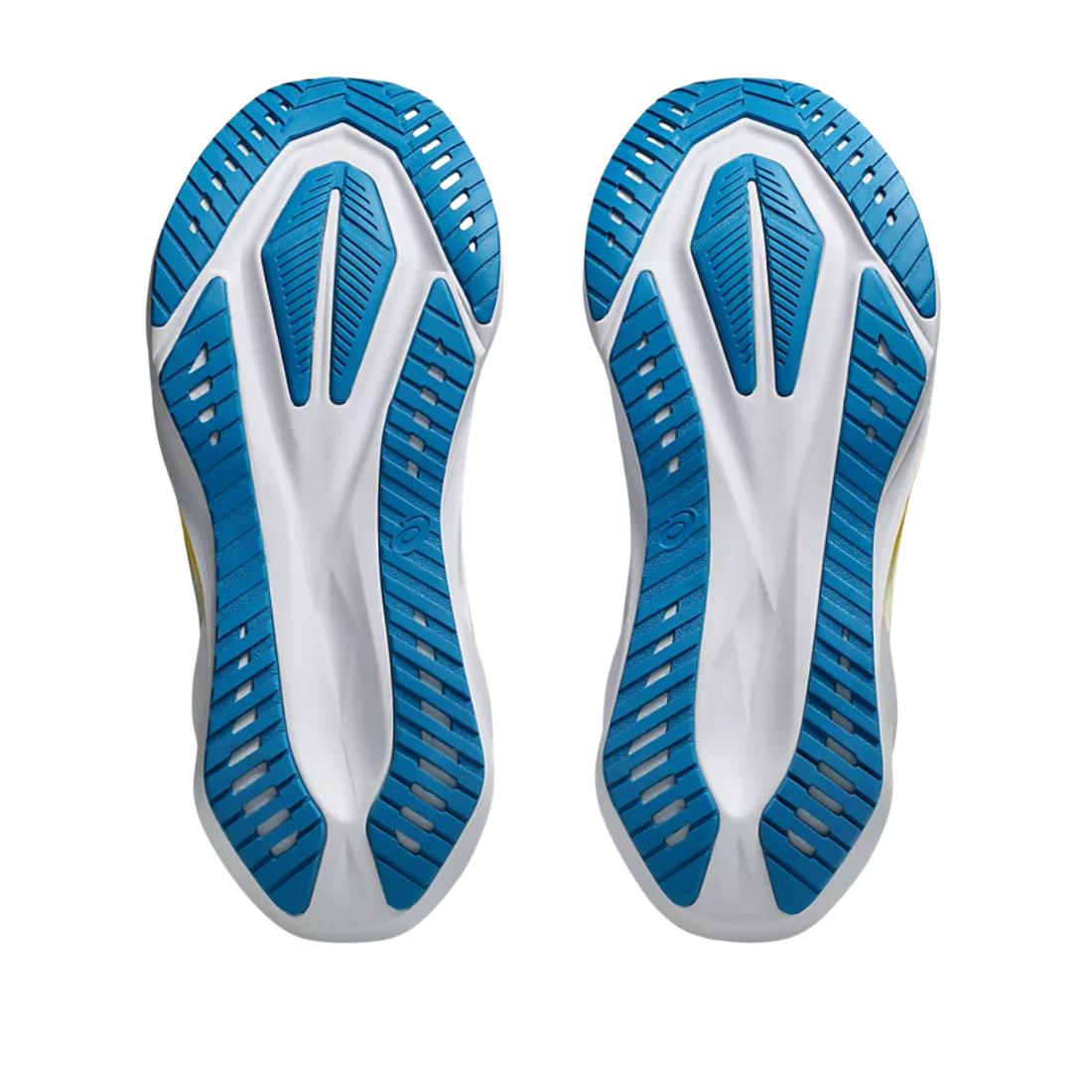 ASICS NOVABLAST 5 Uomo – Scarpe Running Gravel/White
