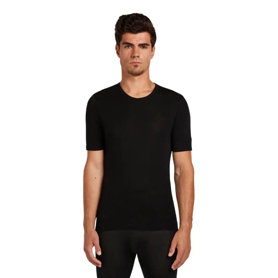 Maglia termica Icebreaker Everyday 175 Uomo