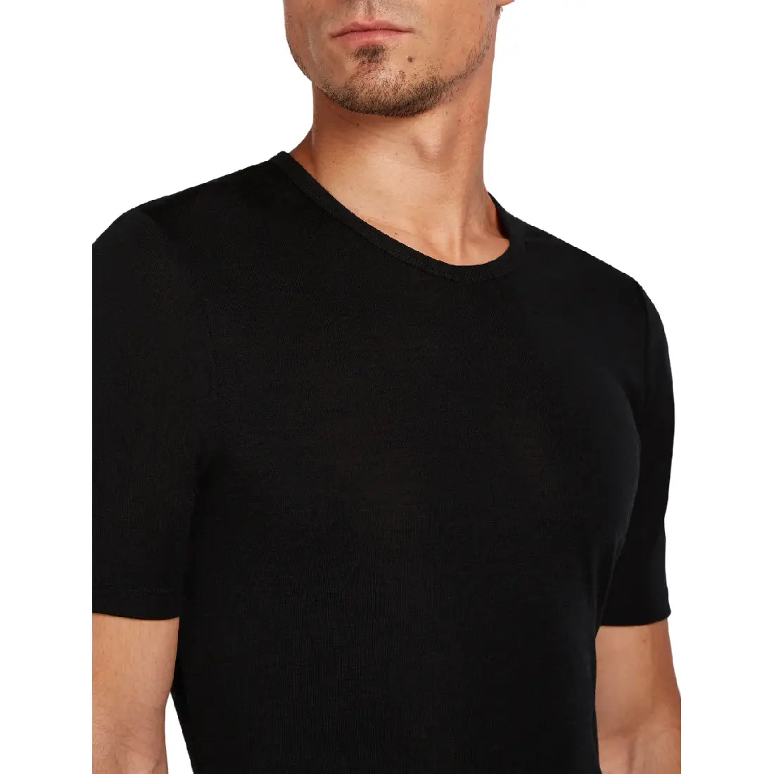 Maglia termica Icebreaker Everyday 175 Uomo