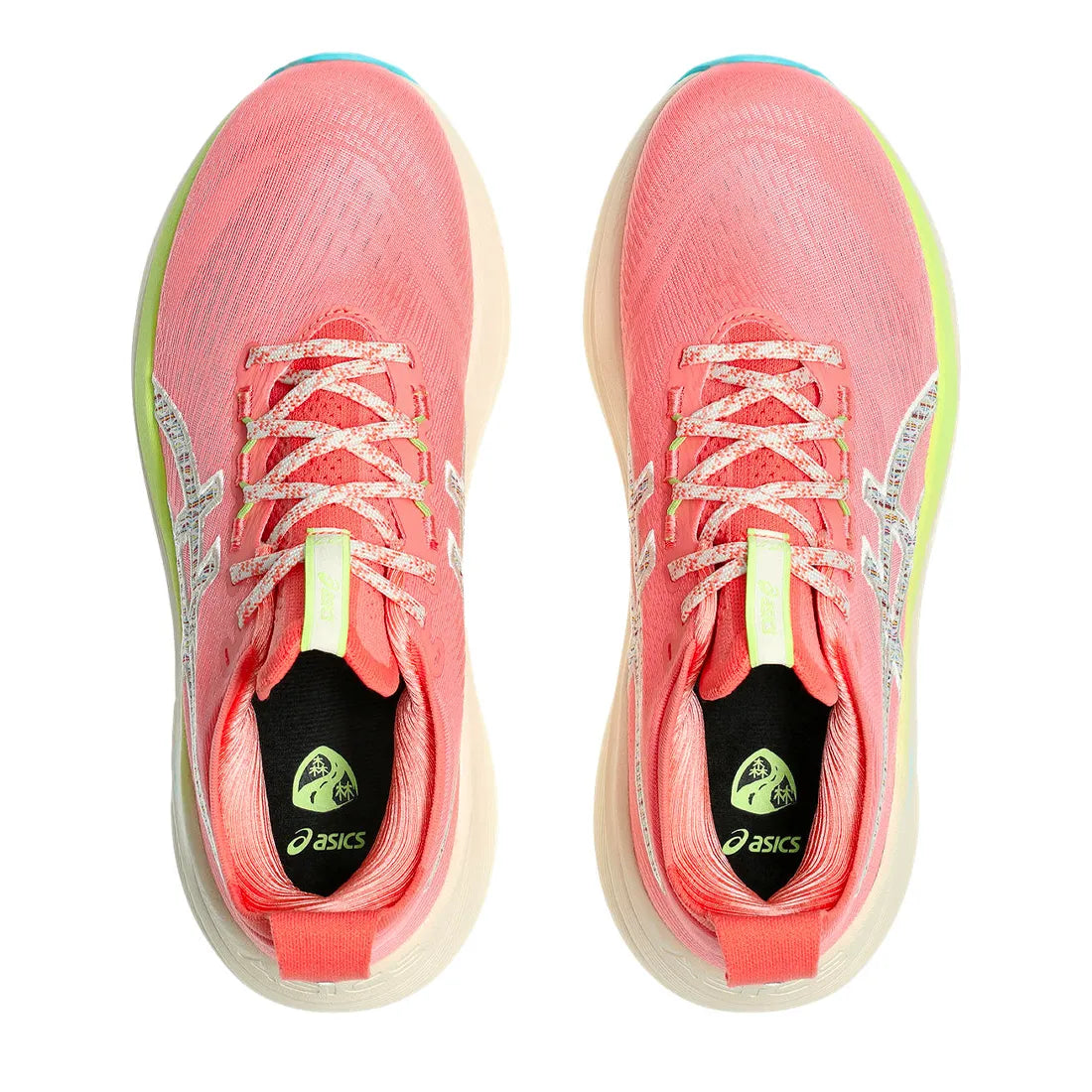 Scarpe Asics Gel Nimbus 27 TR nature Donna