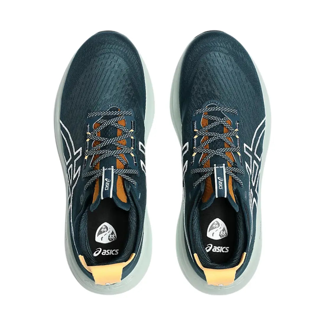 Scarpe Asics Gel Nimbus 27 TR nature Uomo