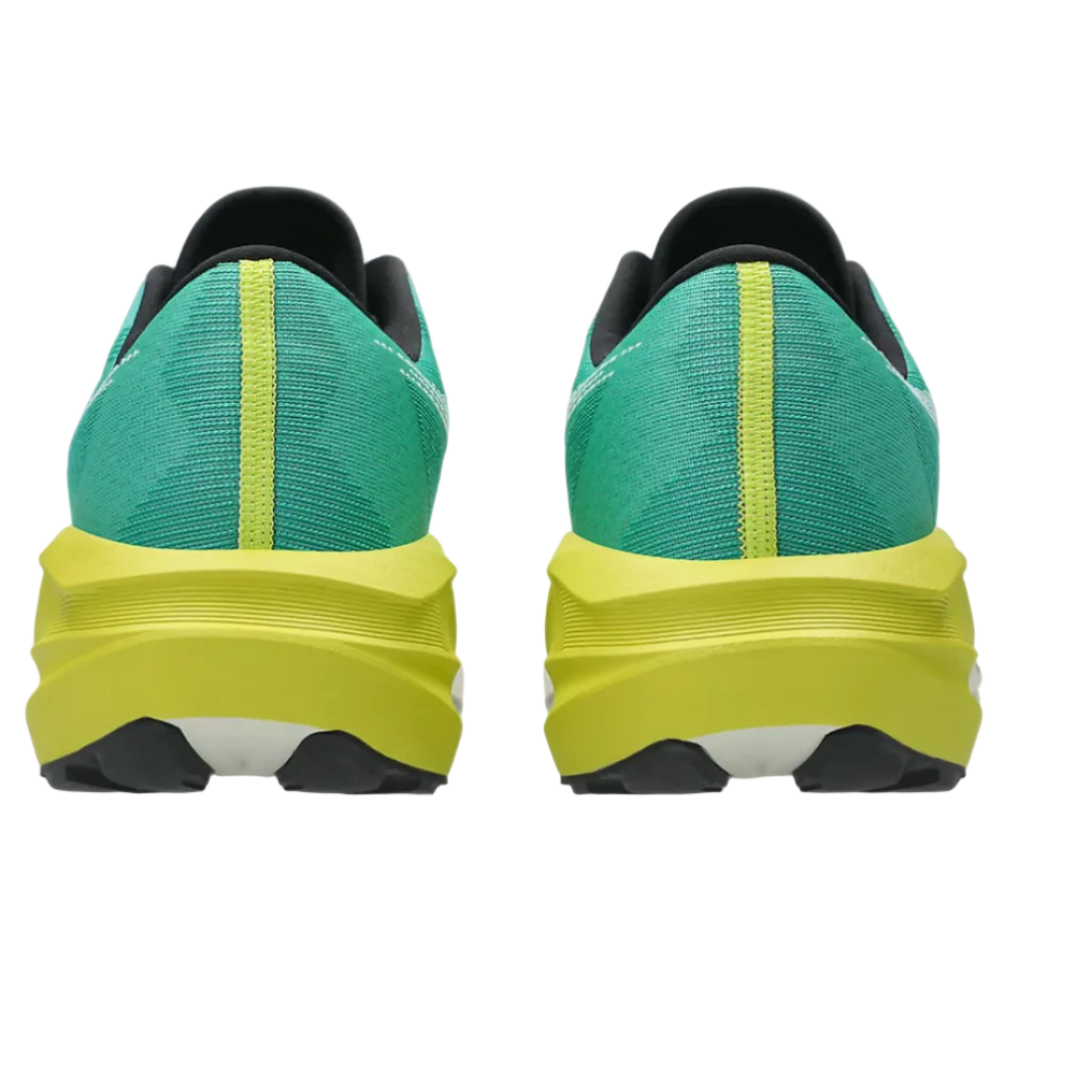 Scaroe Asics Novablast 5 TR uomo