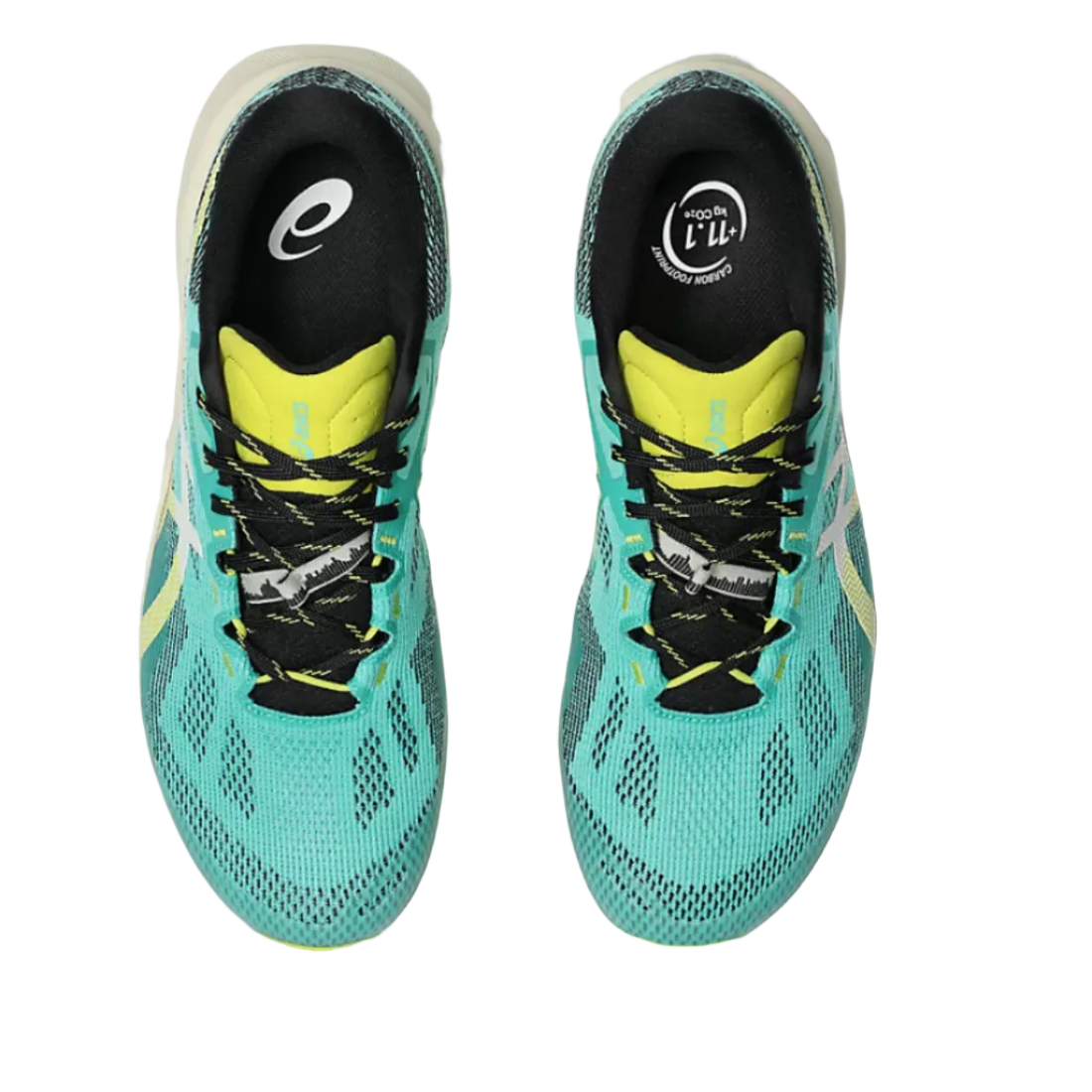 Scarpe Asics Trabuco 14 Donna
