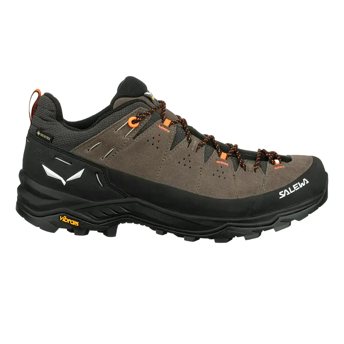 Scarpe Salewa Alp Trainer 2 Gtx bungee cord Uomo