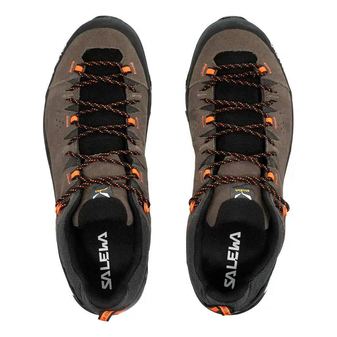 Scarpe Salewa Alp Trainer 2 Gtx bungee cord Uomo