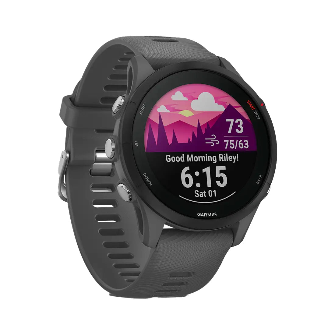 Orologio Garmin Forerunner 255 gray