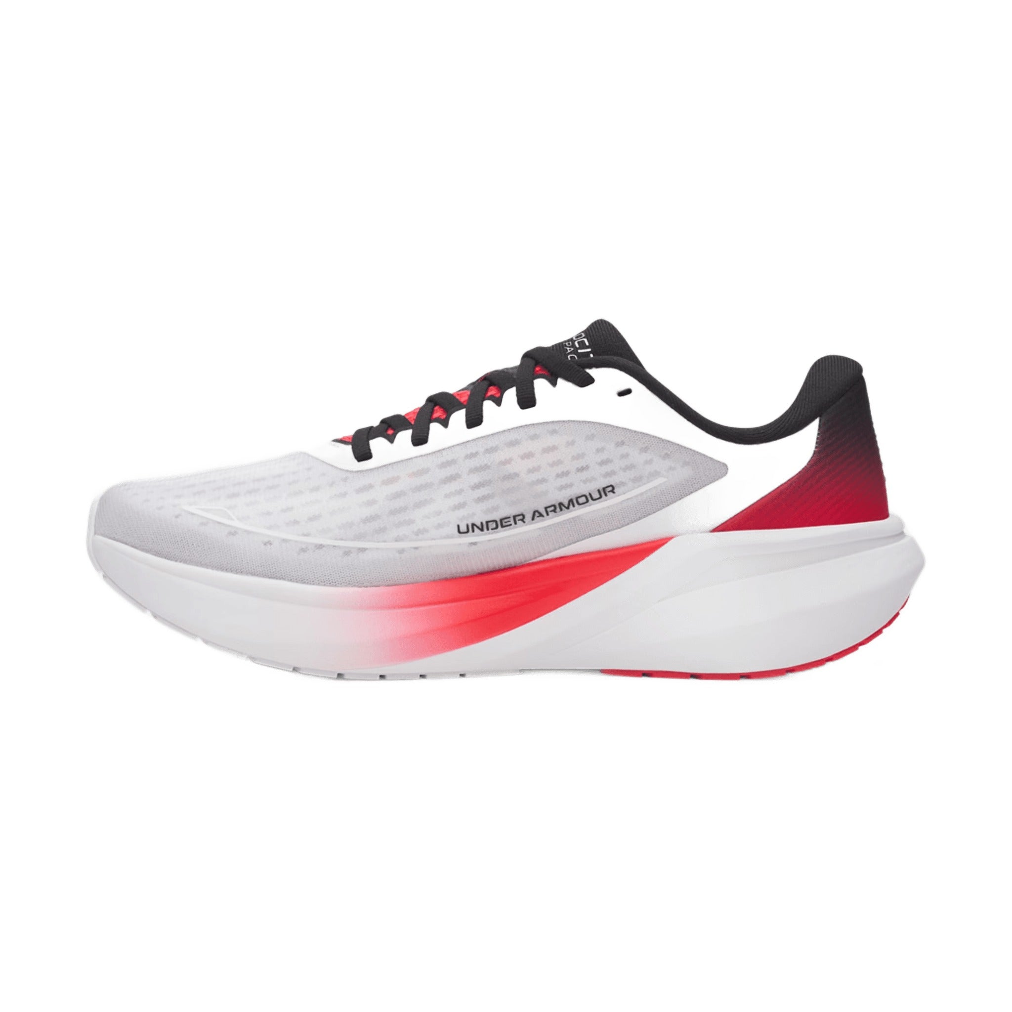product-536_42_02.jpg