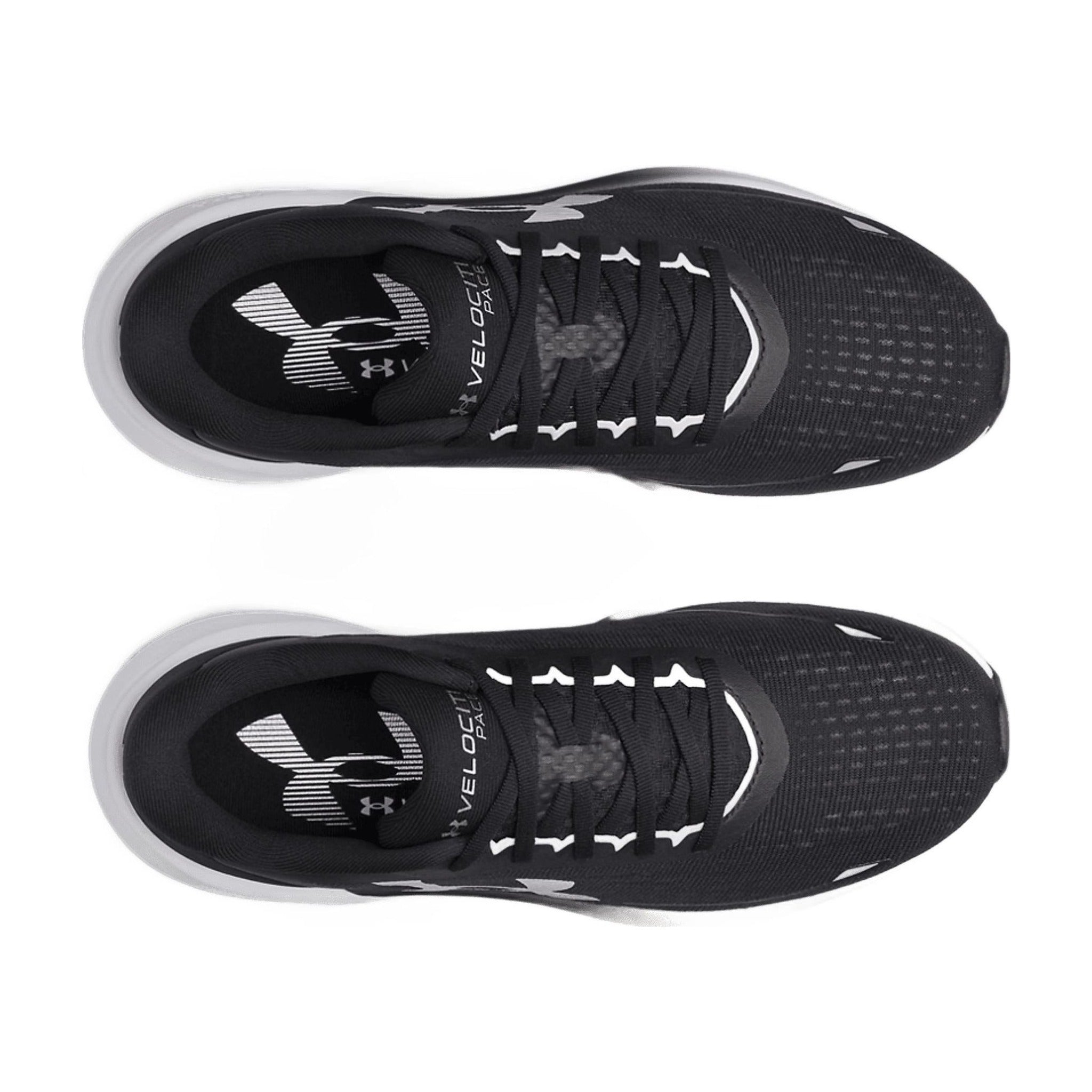 product-543_COLORE_03.jpg.jpg