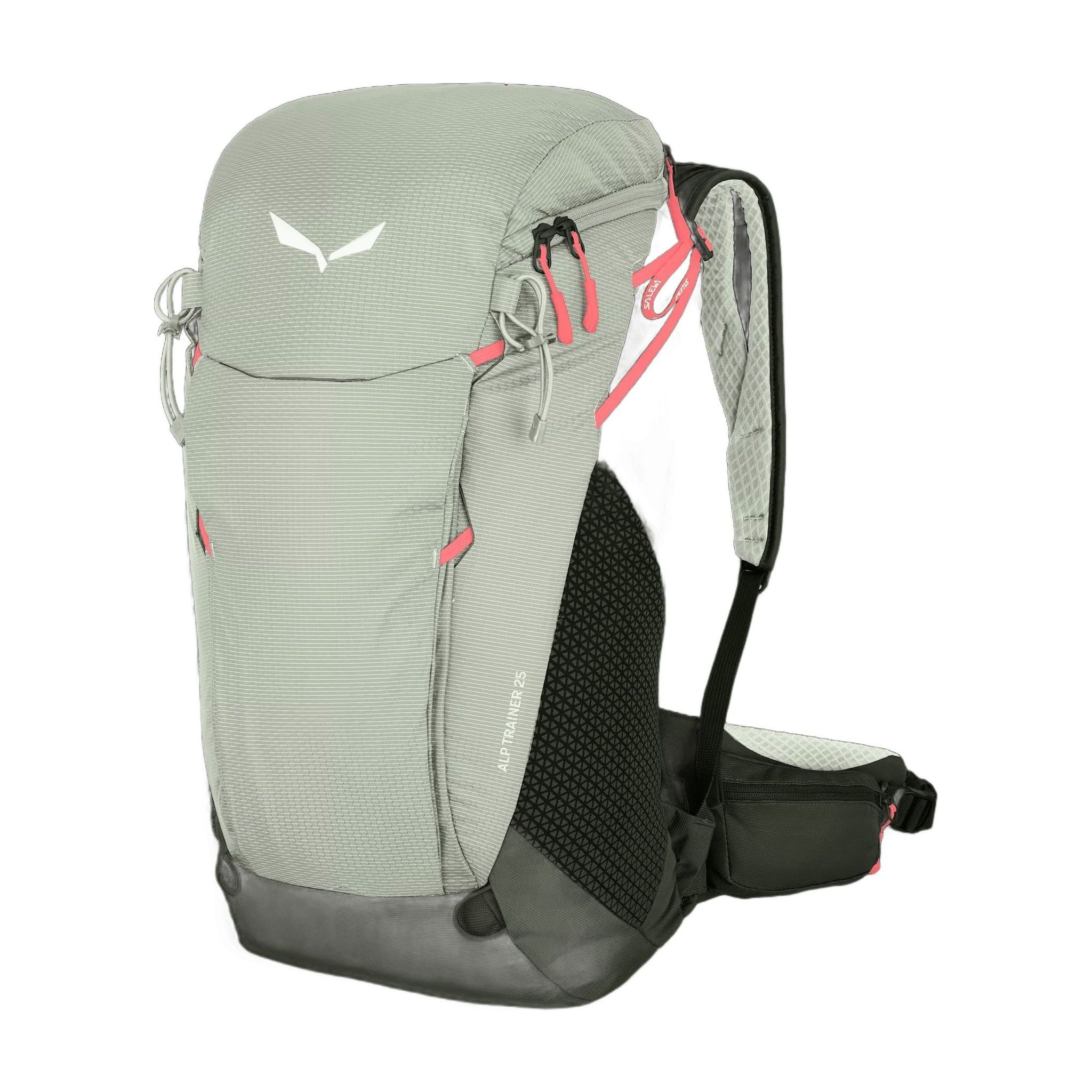 zaino-salewa-alp-trainer-25_DUCK_GREEN_01.jpg.jpg