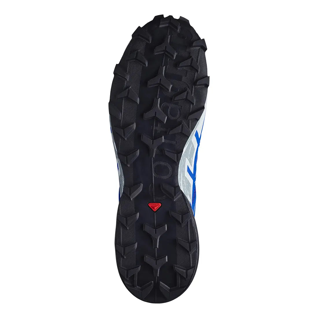 Scarpe Salomon Speedcross 6 Gtx blue Uomo